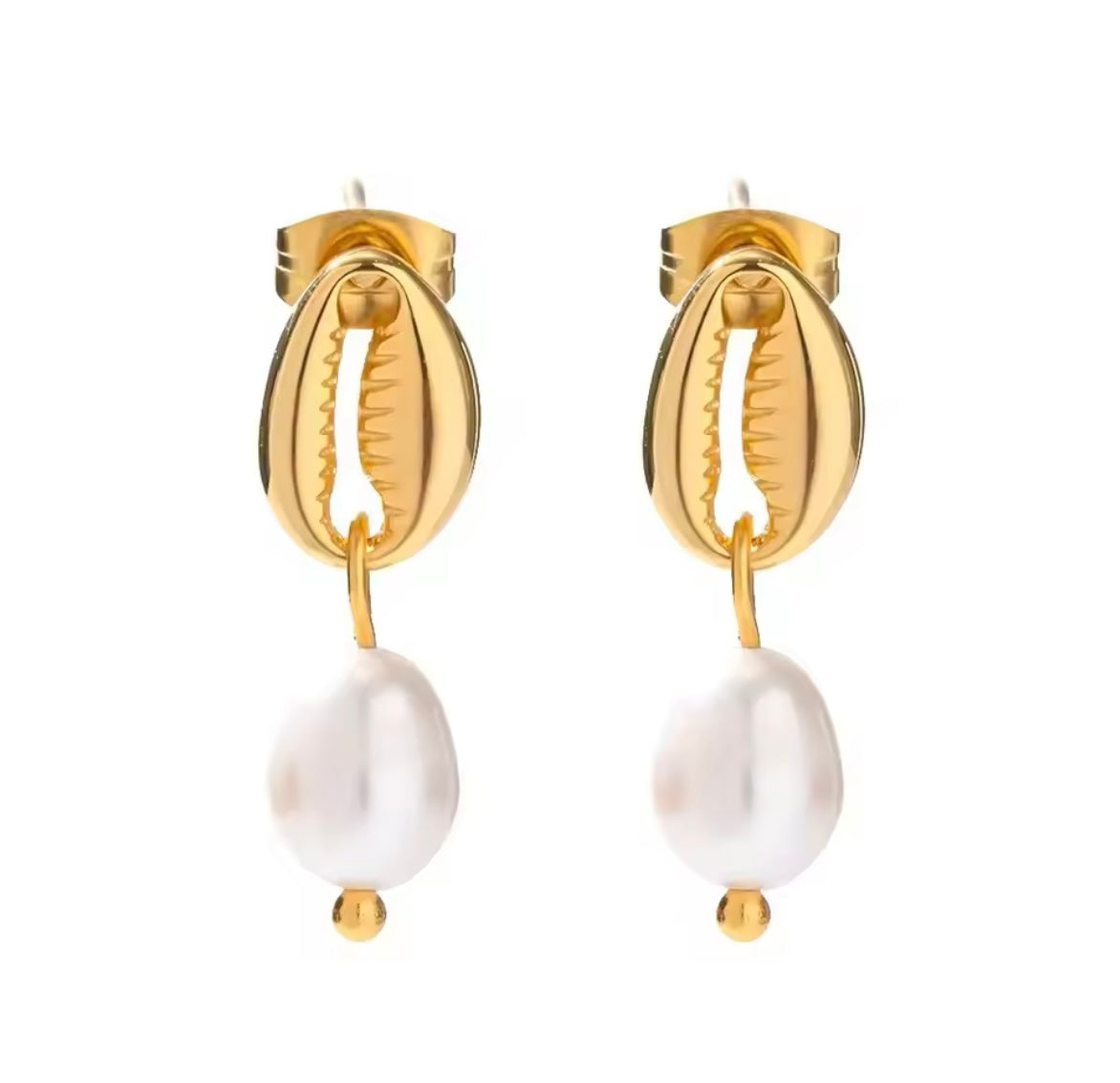 Oyster earrings